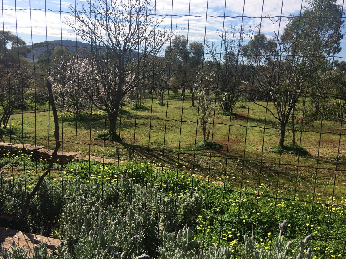 York'S Lookout Lodge Bed And Breakfast Exteriör bild